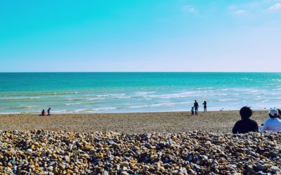 People Want Environmental Solutions – and Brighton & Hove Has Them | Part 2