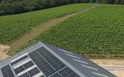 Brighton Energy Co-op & Bolney Wine Estate – Converting Sunshine into Wine in More Ways Than One