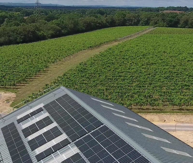 Brighton Energy Co-op & Bolney Wine Estate – Converting Sunshine into Wine in More Ways Than One