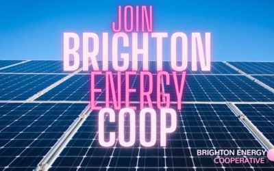 Brighton Energy Launches New Community Share offer – 578kWp of New Solar at Rathfinny Wine Estate