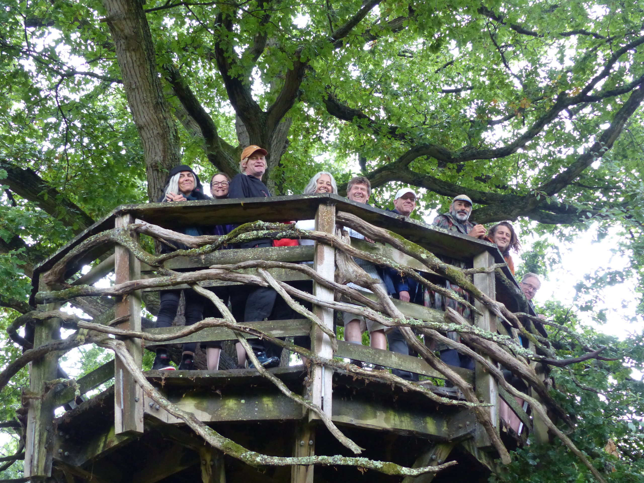 winter woodland walk and talk