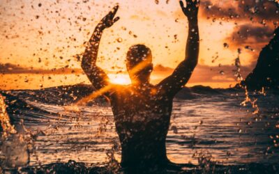 BEC Turns 15: Solar Milestones, Battery Futures & a Party to Match