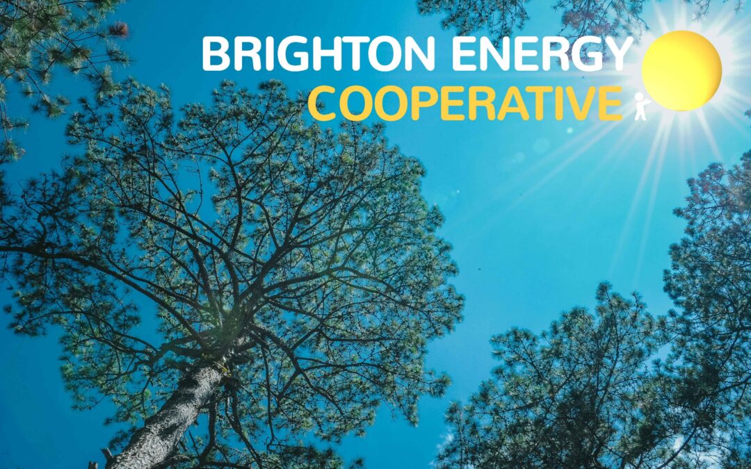 BEC Spring Solar News 2026