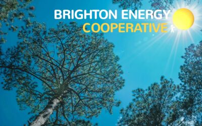 BEC Spring Solar News 2026
